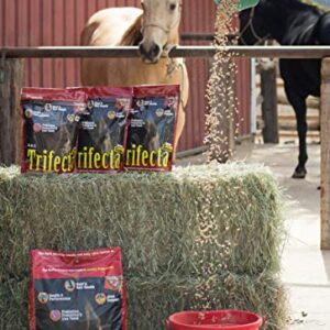 Trifecta 10 lb, 4 Equine Vitamin Minerals in 1 Complete Supplement