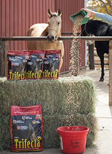 Trifecta 10 lb, 4 Equine Vitamin Minerals in 1 Complete Supplement