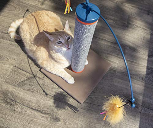 SmartyKat Scratch 'N Spin Carpet Cat Scratching Post with Spinning Wand Toys - Gray, One Size