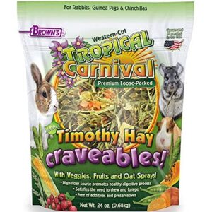 f.m. brown's tropical carnival, natural timothy hay craveables with veggies, fruits, and oat sprays, foraging treat with high fiber for healthy digestion, 24 oz