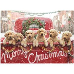 Avanti Press Christmas Cards, All The Love Your Heart Can Hold, 10 Count (701240)