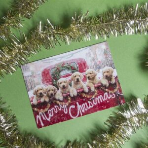 Avanti Press Christmas Cards, All The Love Your Heart Can Hold, 10 Count (701240)