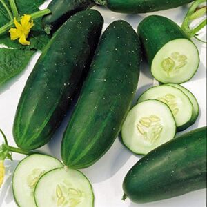 cucumber, straight eight cucumber seeds, heirloom, 25 seeds, great for salads/snack