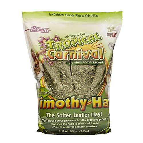 F.M. Brown's Tropical Carnival, Natural Timothy Hay for Guinea Pigs, Rabbits, and Other Small Animals, with High Fiber for Healthy Digestion, 96 oz