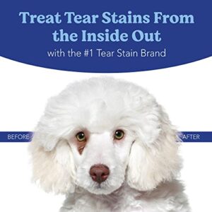 Angels’ Eyes PLUS Tear Stain Prevention Chicken Powder for Dogs and cats | For All Breeds | No Wheat No Corn | Daily Support for Eye Health | Proprietary Formula