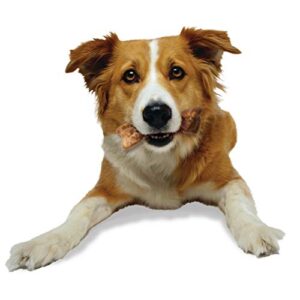 Nylabone Healthy Edibles WILD Natural Long-Lasting Dog Treats - Dog Bone Treats - Bison Flavor, Medium (2 Count)