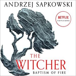 baptism of fire: the witcher, book 3