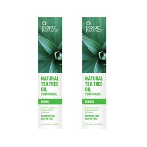 Desert Essence Natural Tea Tree Oil Fennel Toothpaste, 6.25 Ounce - 2 per case.