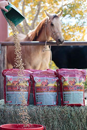 Mega Dose 10 lb, Equine Vitamin Mineral with a Full Serving of Horse Guard Supplement & Hoof Guard