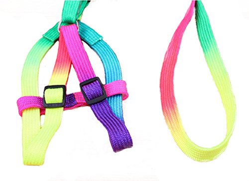 yueton Dog Pet Puppy Cat Kitty Adjustable Nylon Leash Rainbow Dog Chest Straps Chain Seven Color Traction Thoracic Dorsal Suits Dog Rope Dog's Leash Chain