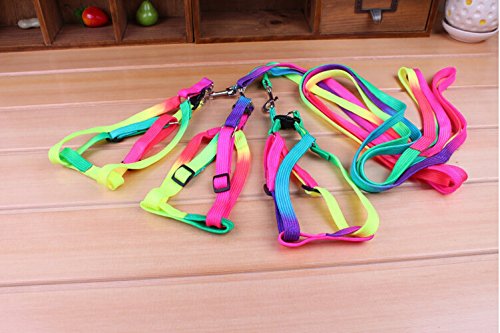 yueton Dog Pet Puppy Cat Kitty Adjustable Nylon Leash Rainbow Dog Chest Straps Chain Seven Color Traction Thoracic Dorsal Suits Dog Rope Dog's Leash Chain