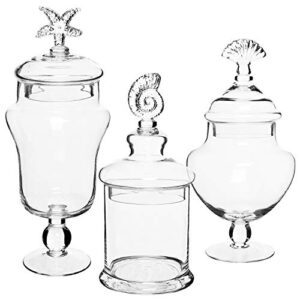 MyGift Clear Glass Apothecary Jars with Lid, Decorative Seashell Design Bathroom Canister, Footed Candy Buffet Containers, Set of 3