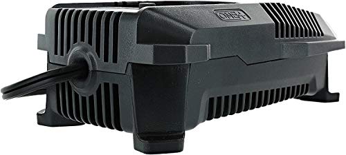 Ryobi 18-Volt Dual Chemistry Charger P118 (Bulk Packaged)