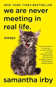 we are never meeting in real life.: essays