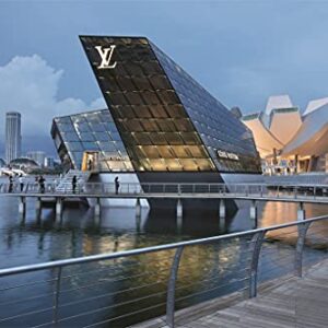 Louis Vuitton: The Birth of Modern Luxury Updated Edition