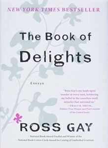 the book of delights: essays
