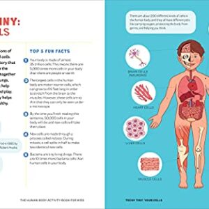 Human Body Activity Book for Kids: Hands-On Fun for Grades K-3