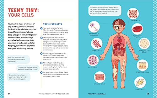 Human Body Activity Book for Kids: Hands-On Fun for Grades K-3