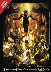 overlord, vol. 12 (light novel): the paladin of the sacred kingdom part i (overlord, 12)