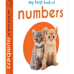 My First Library : Boxset of 10 Board Books for Kids