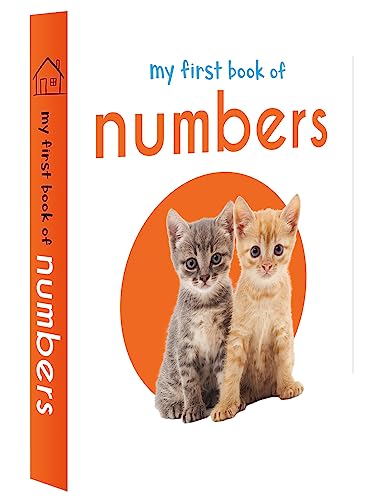 My First Library : Boxset of 10 Board Books for Kids