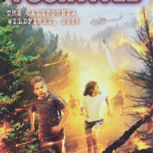 I Survived the California Wildfires, 2018 (I Survived 20): Volume 20 (I Survived)