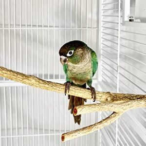 Birds LOVE Small Bottlebrush Wood Cage Perch