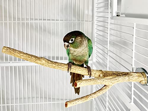 Birds LOVE Small Bottlebrush Wood Cage Perch