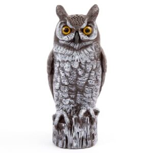 dalen fake owl decoy to scare birds away from gardens, rooftops, and patios - scarecrow provides chemical-free pest control - safe and humane, 16" great horned owl