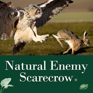 Dalen Fake Owl Decoy to Scare Birds Away from Gardens, Rooftops, and Patios - Scarecrow Provides Chemical-Free Pest Control - Safe and Humane, 16" Great Horned Owl