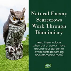 Dalen Fake Owl Decoy to Scare Birds Away from Gardens, Rooftops, and Patios - Scarecrow Provides Chemical-Free Pest Control - Safe and Humane, 16" Great Horned Owl