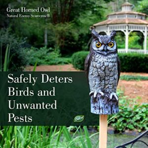 Dalen Fake Owl Decoy to Scare Birds Away from Gardens, Rooftops, and Patios - Scarecrow Provides Chemical-Free Pest Control - Safe and Humane, 16" Great Horned Owl