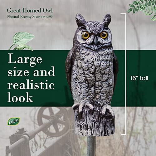 Dalen Fake Owl Decoy to Scare Birds Away from Gardens, Rooftops, and Patios - Scarecrow Provides Chemical-Free Pest Control - Safe and Humane, 16" Great Horned Owl