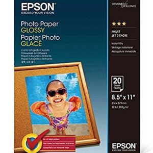 Epson Glossy Photo Paper, 8.5 x 11 Inches, 20 Sheets per Pack (S041141),White