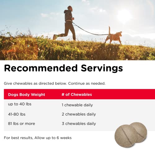 Nutri-Vet Hip & Joint Chewable Dog Supplements | Formulated with Glucosamine & Chondroitin for Dogs | 120 Count