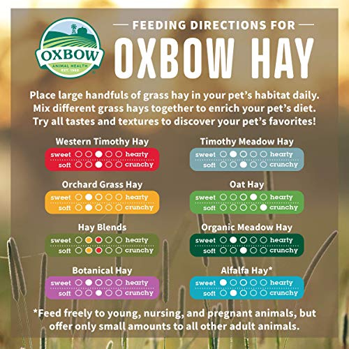 Oxbow Animal Health Orchard Grass Hay - All Natural Grass Hay for Chinchillas, Rabbits, Guinea Pigs, Hamsters & Gerbils - 25 lb.