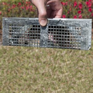 havahart 1020 x-small 2-door humane catch and release live animal trap for moles, rodents, shrews, mice, voles, and other small animals