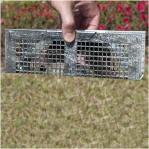 Havahart 1020 X-Small 2-Door Humane Catch and Release Live Animal Trap for Moles, Rodents, Shrews, Mice, Voles, and Other Small Animals