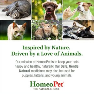 HomeoPet Nose Relief, Natural Sinus Relief for Pets, 15 Milliliters