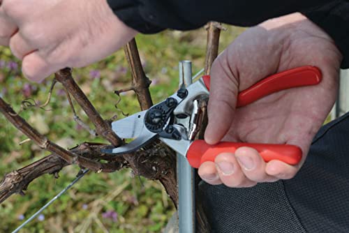 Felco Pruning Shears (F 7) - High Performance Swiss Made One-Hand Garden Pruners