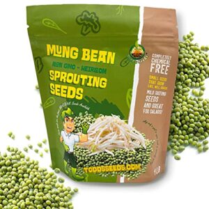 todd’s seeds - mung bean sprouting seed - mung bean seeds - chinese green bean - 1 pound bulk seeds