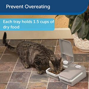 PetSafe Automatic 2 Meal Pet Feeder with Battery Powered Programmable Timer, 3 Cups Total Capacity, Cat and Small to Medium Dog Food Dispenser