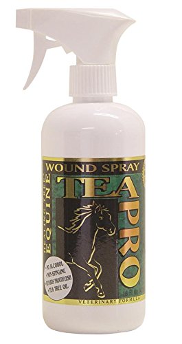 Healing Tree Products 36304, 16 oz Tea Pro Equine Wound Spray