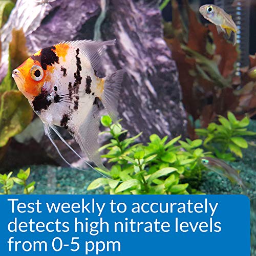 API NITRITE TEST KIT 180-Test Freshwater and Saltwater Aquarium Test Kit
