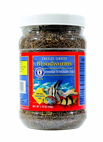 SAN FRANCISCO BAY Brand Freeze Dried Bloodworms 1.75oz