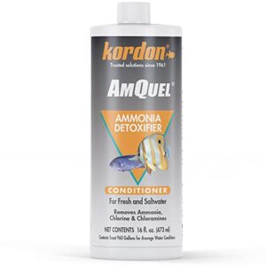 kordon amquel one-step aquarium water conditioner - removes chlorine & chloramines fast, detoxifies ammonia, for freshwater & saltwater aquariums, 16-ounces