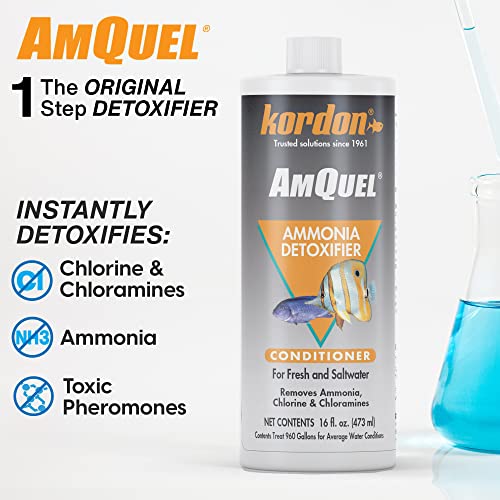 Kordon AMQUEL One-Step Aquarium Water Conditioner - Removes Chlorine & Chloramines Fast, Detoxifies Ammonia, for Freshwater & Saltwater Aquariums, 16-Ounces