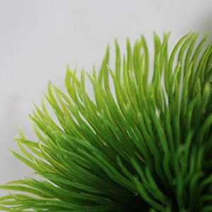 Penn-Plax Fish Breeding Grass – Baby Hideout for Fry – Great for Livebearers and Egg Layers – Plastic Aquarium Plants – 2 Pieces