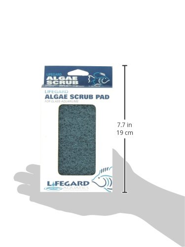 Lifegard Aquatics 4-Inch by 6-Inch Blue Algae Pad,Black