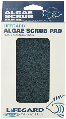 Lifegard Aquatics 4-Inch by 6-Inch Blue Algae Pad,Black